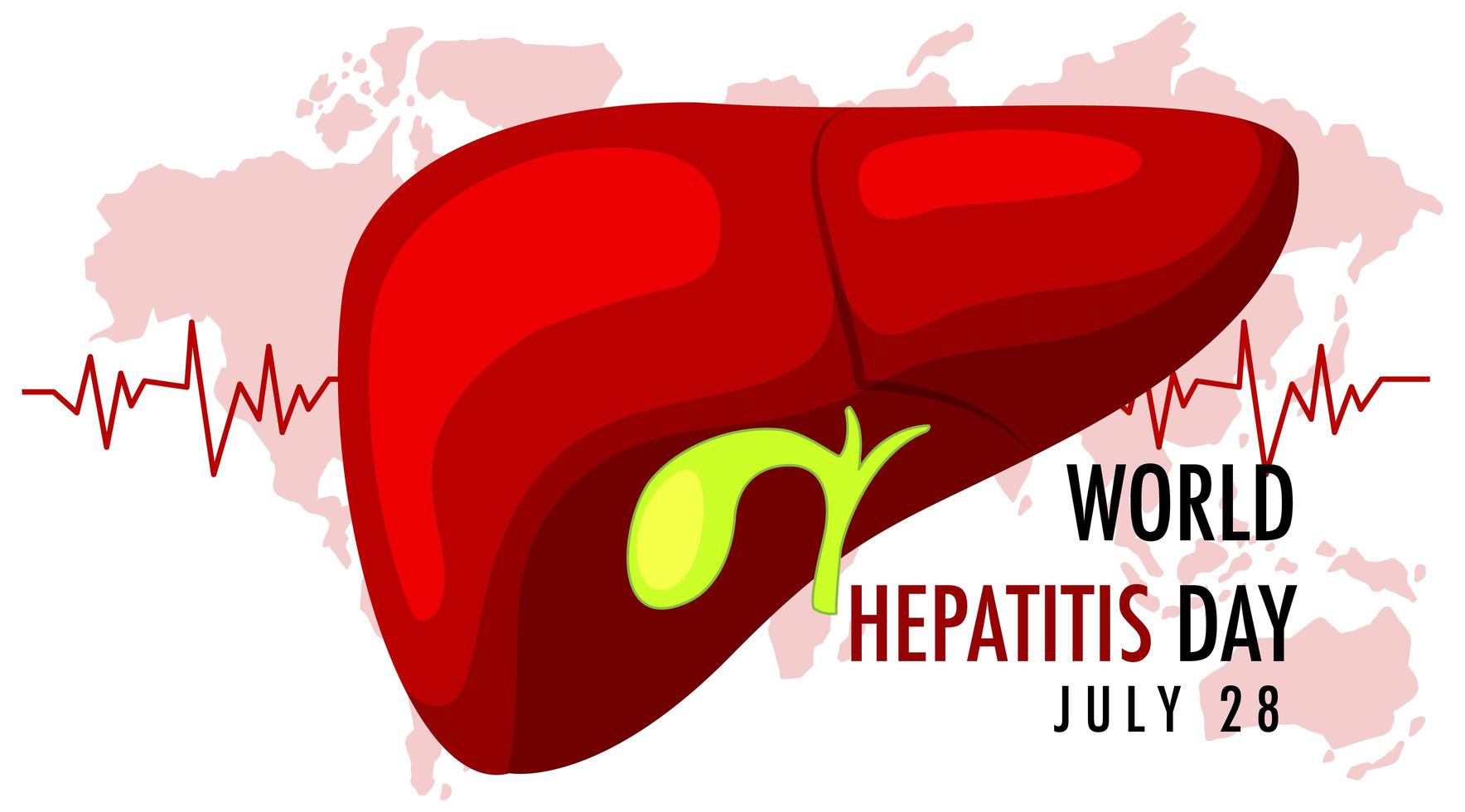 Viral Hepatitis: Definition and Overview of the (A, B, C, D, E, G)
